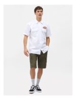 dickies