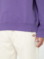 dickies,inverno2023