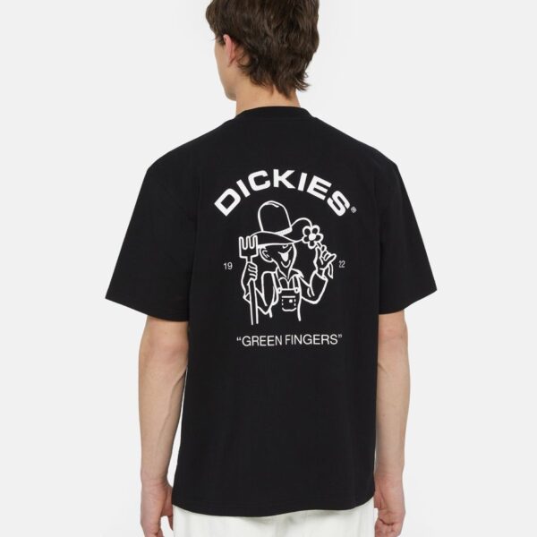 dickies