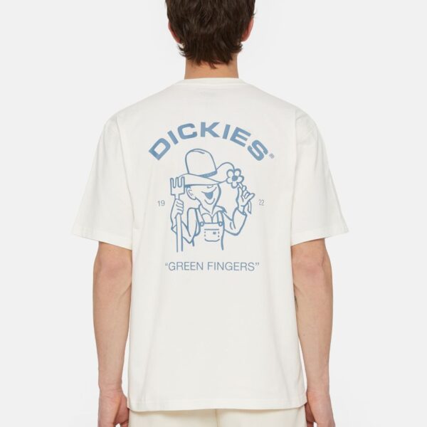 dickies