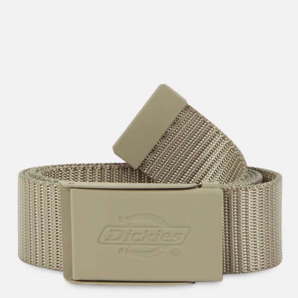 dickies,belt