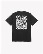 obey