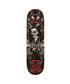 skateboard,decks