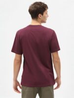 dickies,tshirt