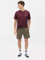 dickies,tshirt