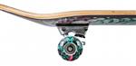 skateboard,decks