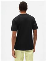 dickies,tshirt
