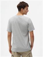 dickies,tshirt