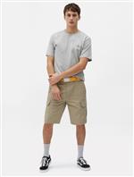 dickies,tshirt