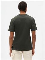 dickies,tshirt