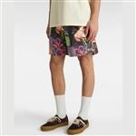 boardshort
