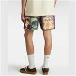 boardshort