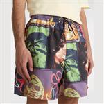 boardshort