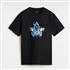 vans,tshirt