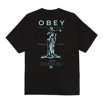 tshirt,obey