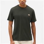 dickies,tshirt