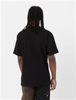 dickies,tshirt