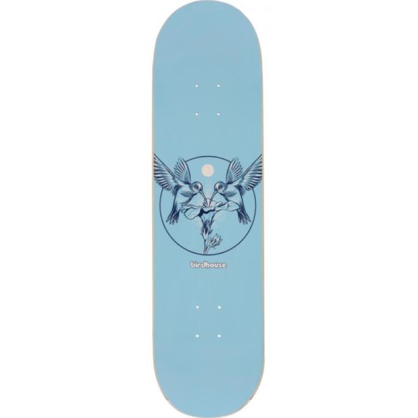 skateboard,decks