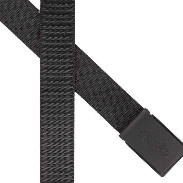 dickies,belt