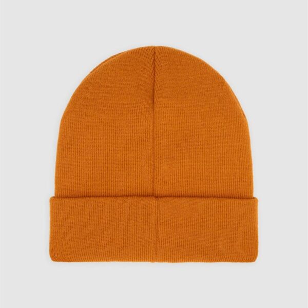 dickies,beanie