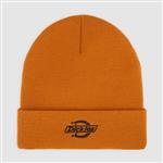 dickies,beanie