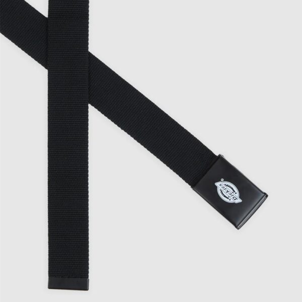dickies,belt