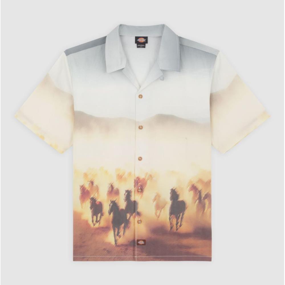 Running_Wild_Dickies multi