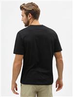 dickies,tshirt