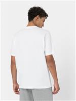 dickies,tshirt