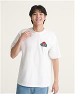 vans,tshirt