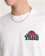 vans,tshirt