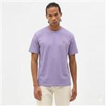 dickies,tshirt