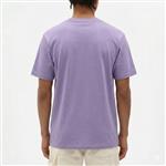 dickies,tshirt