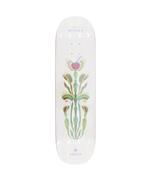 skateboard,decks