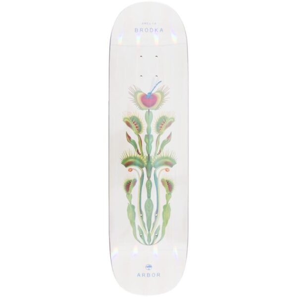 skateboard,decks