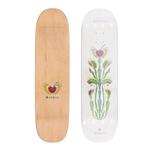 skateboard,decks