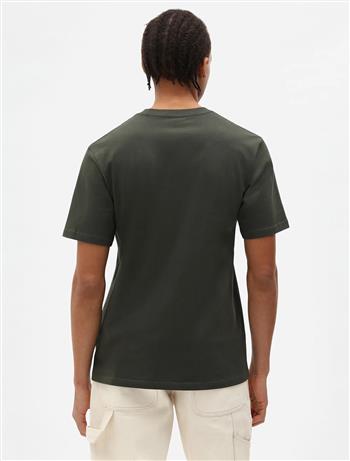 dickies,tshirt