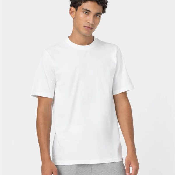 dickies,tshirt