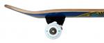cruiser