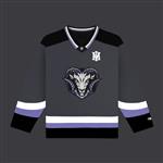 dollynoire,hockey